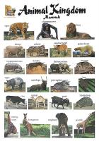 Animal Kingdom. Mammals: Стенно табло на английски език