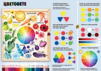 Цветовете: Учебно табло по изобразително изкуство за 3. клас