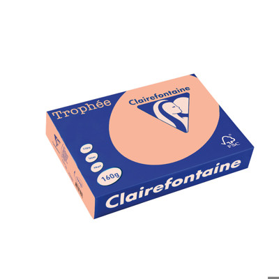 Картон коп.цв., А4, 160 г/м2, Apricot Trophee