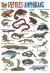 Reptiles and Amphibians - стенно учебно табло на английски език