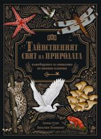 Тайнственият свят на природата