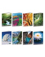 Тетрадка А4 FSC UV Quad Eco, 42 л.5x5, 80 г/м2