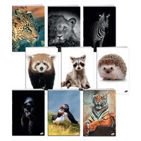 Тетрадка А4 UV Animals, 60+2 л.ред, 70 г/м2
