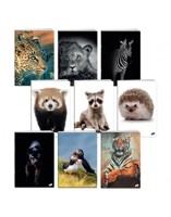Тетрадка  UV Animals, 60+2 л.ред, 70 г/м2