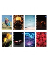 Тетрадка A5 спирала UV Basic, 100 л.ред, 2 теми