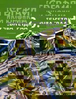 Учебна тетрадка по география и икономика за 9. клас