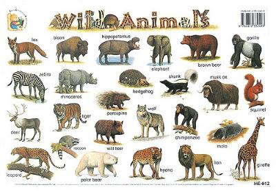 Wild Animals - стенно учебно табло на английски език